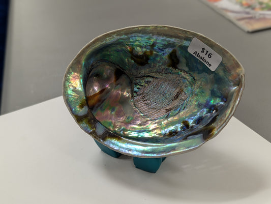 Abalone Shell Natural